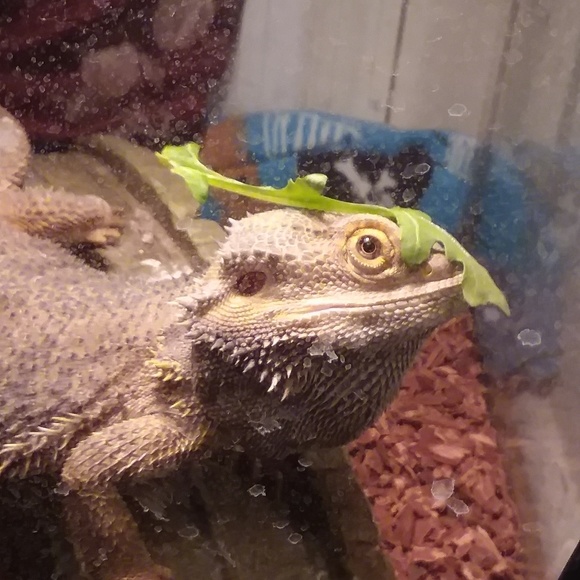 Meet your Posher, Annette - Picture 9 of 11